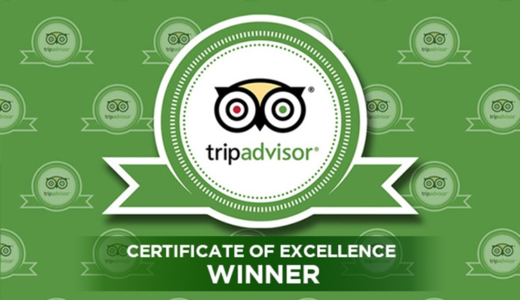 TripAdvisor Certificate of Excellence Wine Tours in Napa